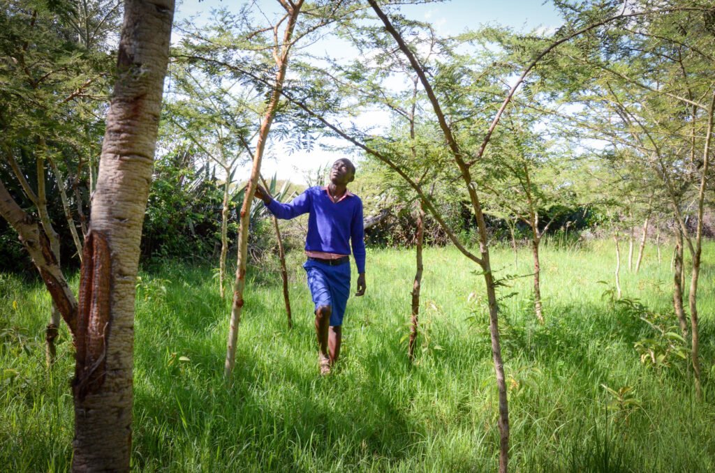 15-vuotias kenialainen Nimrod kävelee uusien puiden välissä.